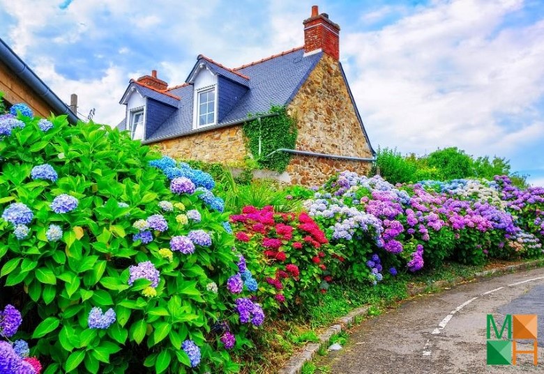 Tranh dán tường cho phòng khách đẹp tại Hà Nội NA - 238